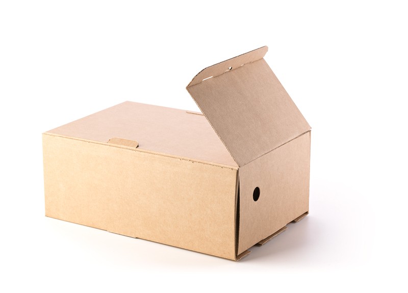 solo distorsionar Acumulativo Cajas para Zapatos › Cajas de Cartón | CARTÓN S.A. - Cajas de Cartón e  Ingeniería en Empaques en Barranquilla y toda Colombia
